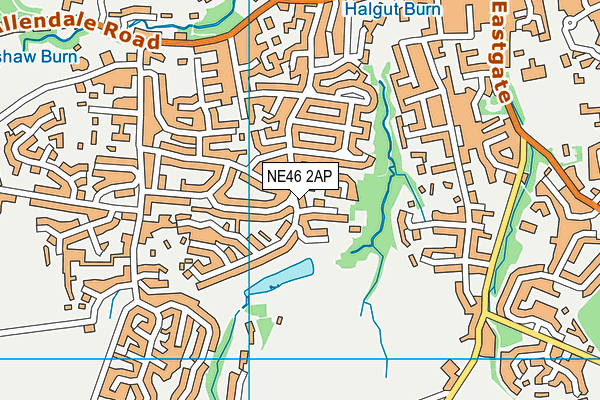 NE46 2AP map - OS VectorMap District (Ordnance Survey)