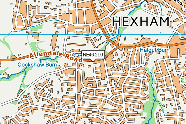 NE46 2DJ map - OS VectorMap District (Ordnance Survey)