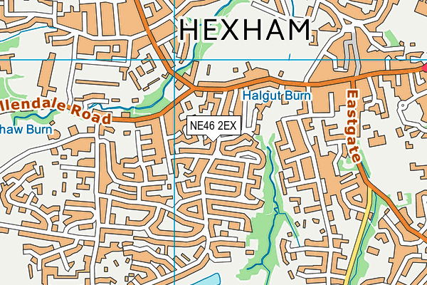 NE46 2EX map - OS VectorMap District (Ordnance Survey)