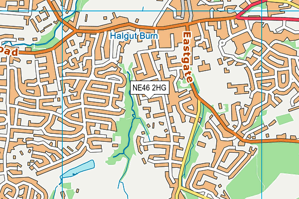 NE46 2HG map - OS VectorMap District (Ordnance Survey)