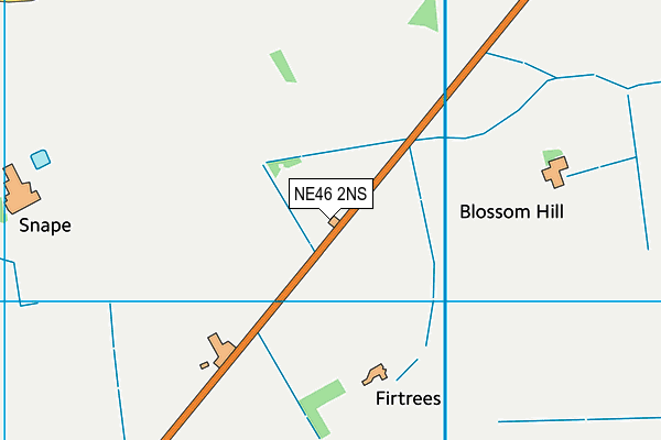 NE46 2NS map - OS VectorMap District (Ordnance Survey)