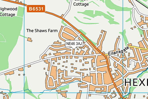 NE46 3AJ map - OS VectorMap District (Ordnance Survey)