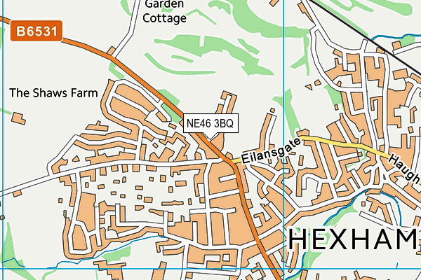 NE46 3BQ map - OS VectorMap District (Ordnance Survey)