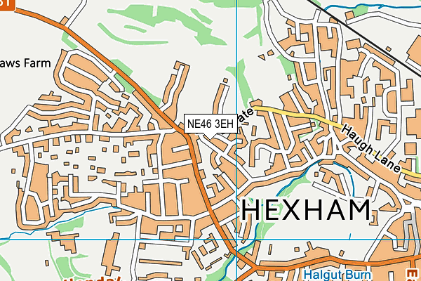 NE46 3EH map - OS VectorMap District (Ordnance Survey)