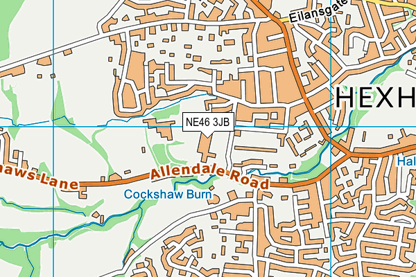 Hexham Middle School map (NE46 3JB) - OS VectorMap District (Ordnance Survey)