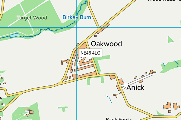 NE46 4LG map - OS VectorMap District (Ordnance Survey)