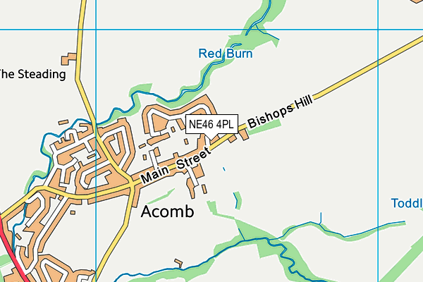 NE46 4PL map - OS VectorMap District (Ordnance Survey)