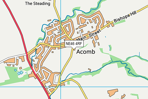 NE46 4RF map - OS VectorMap District (Ordnance Survey)