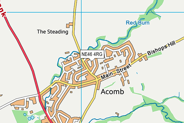 NE46 4RG map - OS VectorMap District (Ordnance Survey)