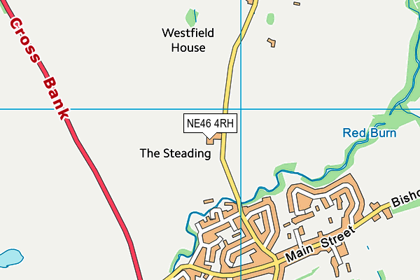 NE46 4RH map - OS VectorMap District (Ordnance Survey)