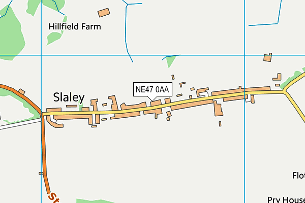 Slaley First School map (NE47 0AA) - OS VectorMap District (Ordnance Survey)