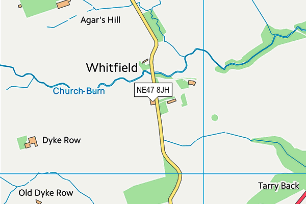 Whitfield CofE Primary School map (NE47 8JH) - OS VectorMap District (Ordnance Survey)