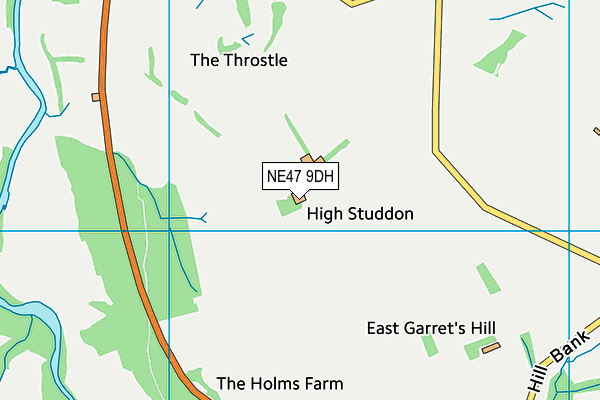 Allendale Golf Club map (NE47 9DH) - OS VectorMap District (Ordnance Survey)