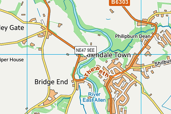 Allendale Cricket Club map (NE47 9EE) - OS VectorMap District (Ordnance Survey)