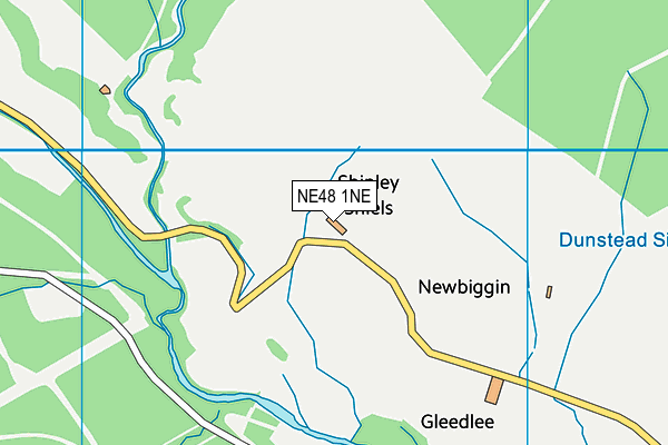 NE48 1NE map - OS VectorMap District (Ordnance Survey)