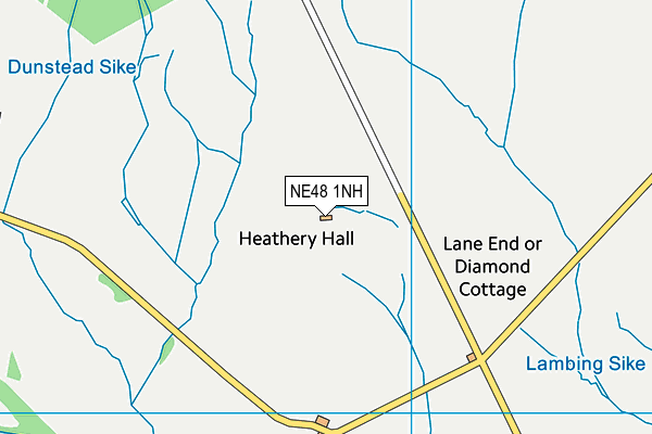 NE48 1NH map - OS VectorMap District (Ordnance Survey)