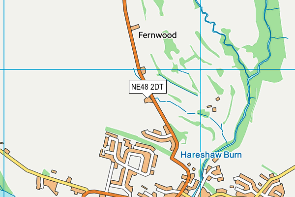 NE48 2DT map - OS VectorMap District (Ordnance Survey)