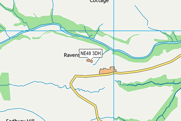 NE48 3DH map - OS VectorMap District (Ordnance Survey)