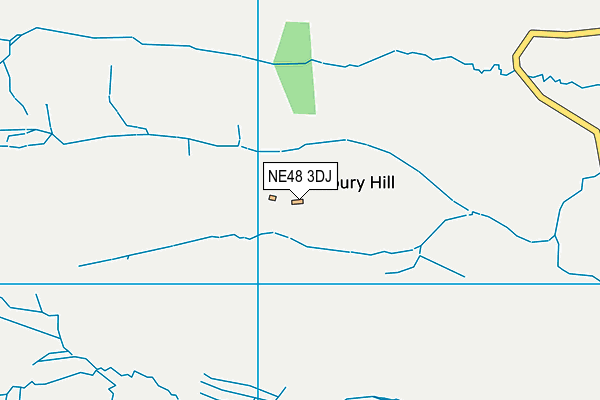 NE48 3DJ map - OS VectorMap District (Ordnance Survey)