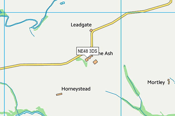 NE48 3DS map - OS VectorMap District (Ordnance Survey)