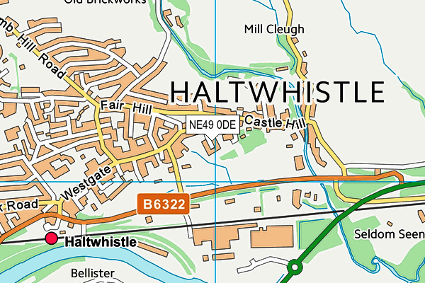 NE49 0DE map - OS VectorMap District (Ordnance Survey)