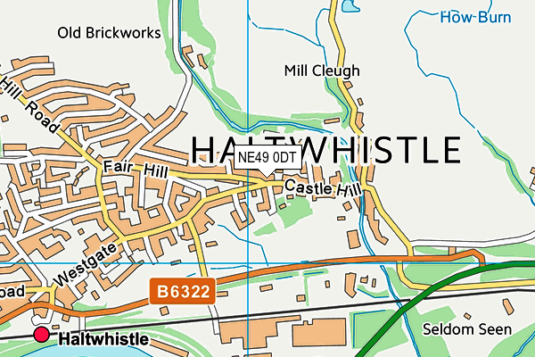 NE49 0DT map - OS VectorMap District (Ordnance Survey)