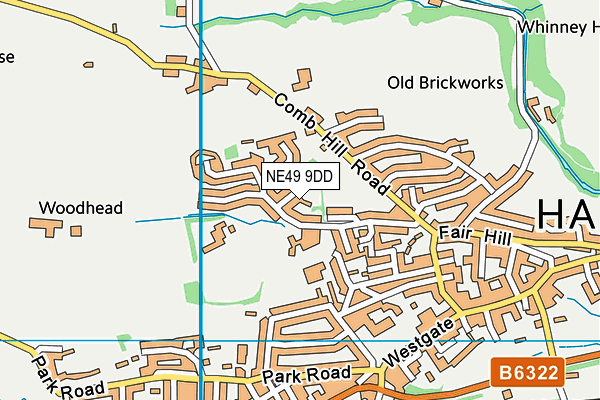 NE49 9DD map - OS VectorMap District (Ordnance Survey)