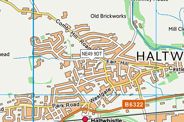 NE49 9DT map - OS VectorMap District (Ordnance Survey)