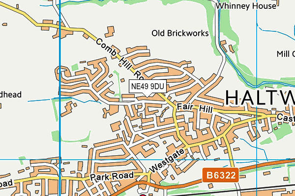 NE49 9DU map - OS VectorMap District (Ordnance Survey)