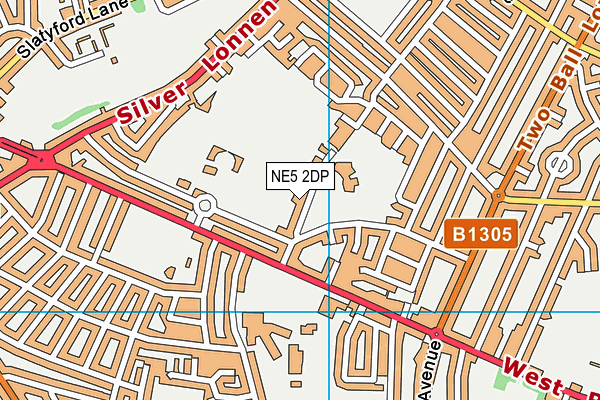 NE5 2DP map - OS VectorMap District (Ordnance Survey)