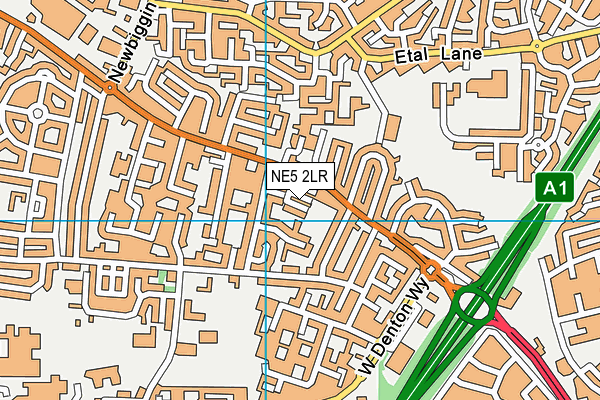 NE5 2LR map - OS VectorMap District (Ordnance Survey)
