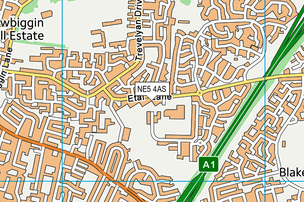 NE5 4AS map - OS VectorMap District (Ordnance Survey)