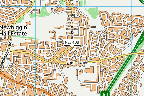 NE5 4DB map - OS VectorMap District (Ordnance Survey)