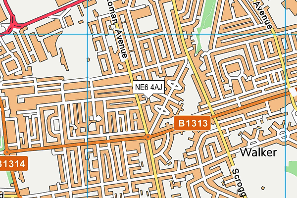 NE6 4AJ map - OS VectorMap District (Ordnance Survey)