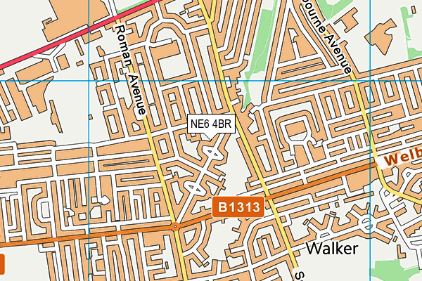NE6 4BR map - OS VectorMap District (Ordnance Survey)