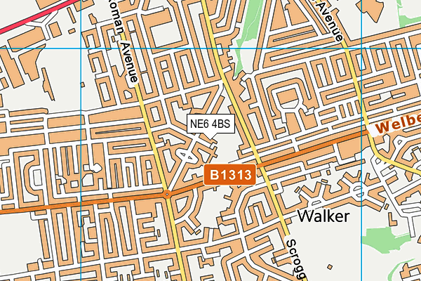 NE6 4BS map - OS VectorMap District (Ordnance Survey)