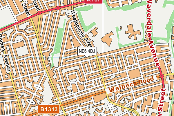 NE6 4DJ map - OS VectorMap District (Ordnance Survey)