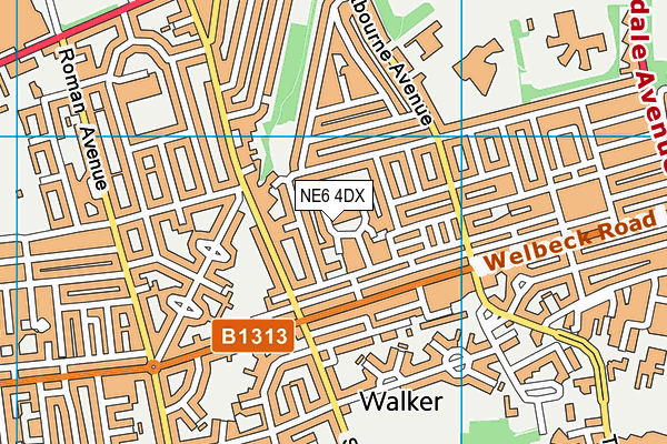 NE6 4DX map - OS VectorMap District (Ordnance Survey)