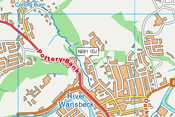 NE61 1DJ map - OS VectorMap District (Ordnance Survey)