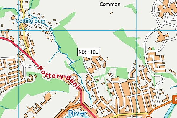 NE61 1DL map - OS VectorMap District (Ordnance Survey)