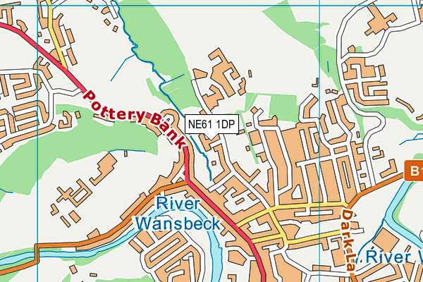 NE61 1DP map - OS VectorMap District (Ordnance Survey)