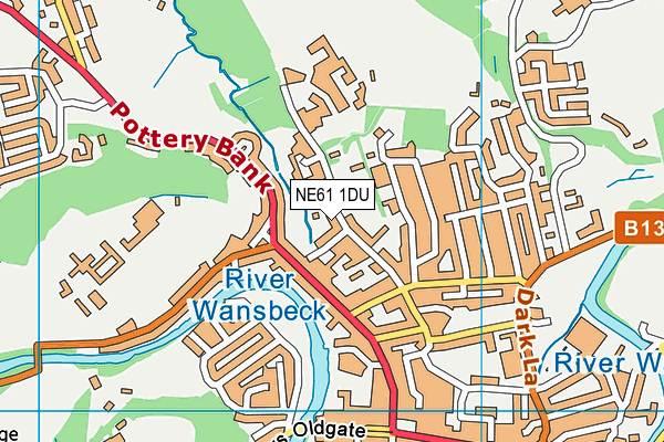 NE61 1DU map - OS VectorMap District (Ordnance Survey)