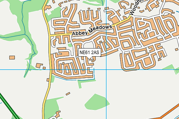 NE61 2AS map - OS VectorMap District (Ordnance Survey)