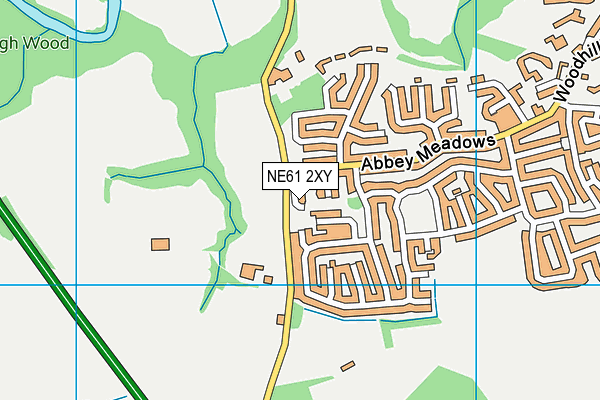 NE61 2XY map - OS VectorMap District (Ordnance Survey)
