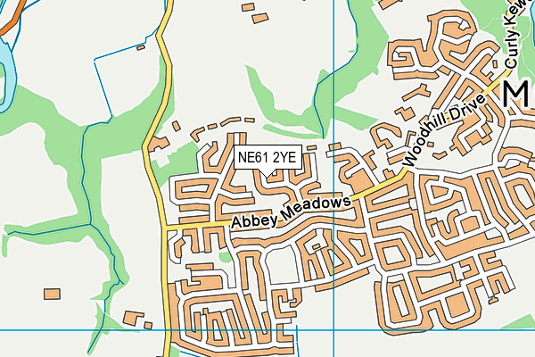 NE61 2YE map - OS VectorMap District (Ordnance Survey)