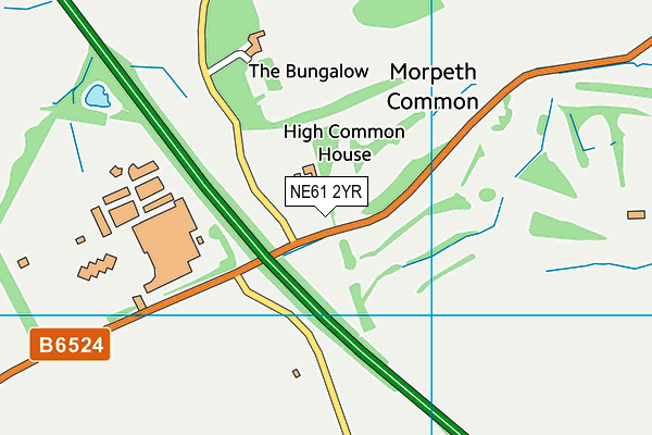Morpeth Common map (NE61 2YR) - OS VectorMap District (Ordnance Survey)