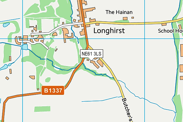 NE61 3LS map - OS VectorMap District (Ordnance Survey)