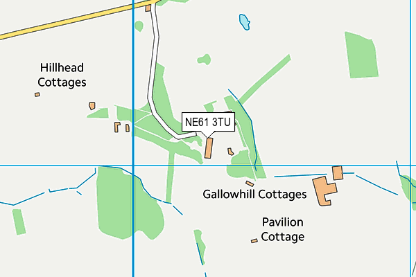 NE61 3TU map - OS VectorMap District (Ordnance Survey)