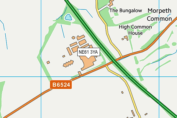 NE61 3YA map - OS VectorMap District (Ordnance Survey)