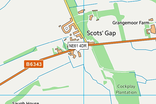 NE61 4DR map - OS VectorMap District (Ordnance Survey)